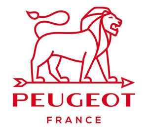 Plat au four rectangulaire - Peugeot - MM